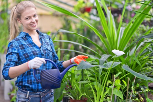 Tree removal process conducted by experts in Tottenham
