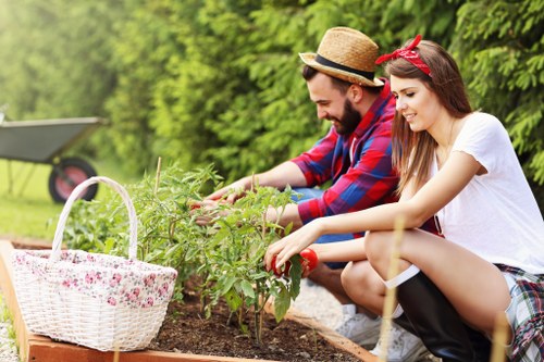 Gardener inspecting a suburban garden at the start of a visit